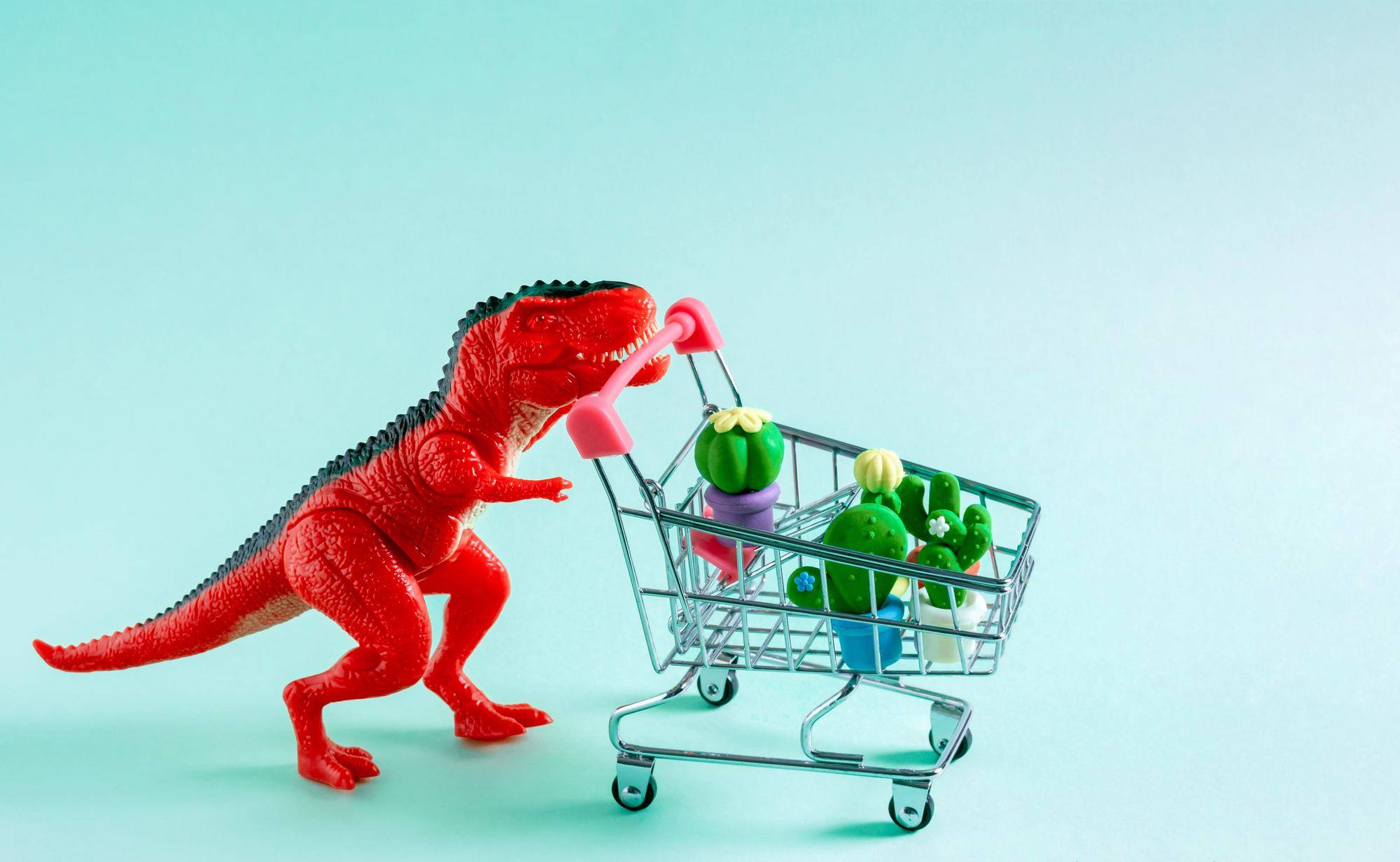 Gdzie znaleźć aktualną gazetkę promocyjną Dino?
